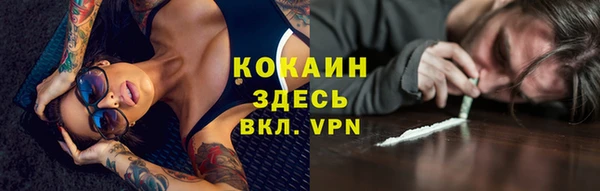 шишки Белая Холуница