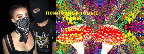 бошки Бежецк