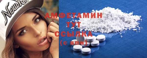 шишки Белая Холуница