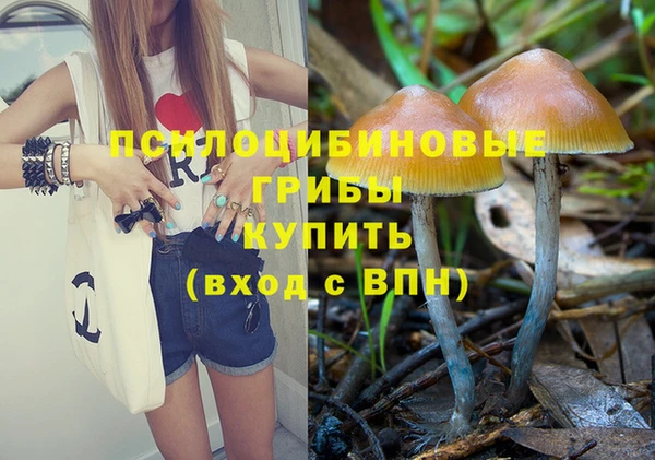 MESCALINE Михайловск